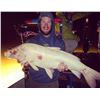 Image 2 : HiLo Bowfishing