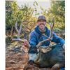 Image 16 : Kaibab Deer Hunt with Shadow Valley Outfitters