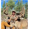 Image 2 : Kaibab Deer Hunt with Shadow Valley Outfitters