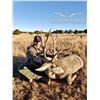 Image 3 : Kaibab Deer Hunt with Shadow Valley Outfitters