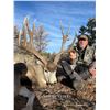 Image 8 : Kaibab Deer Hunt with Shadow Valley Outfitters