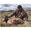 Image 2 : 4 Day Roe Deer Hunt in Spain with Hunt Trip Spain