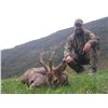 Image 3 : 4 Day Roe Deer Hunt in Spain with Hunt Trip Spain