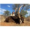 Image 2 : Trophy Hunt and Tiger Fishing Safari for 2 Hunters