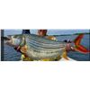 Image 3 : Trophy Hunt and Tiger Fishing Safari for 2 Hunters