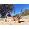 Image 4 : 6 Day Plains Game Hunt for 2 Hunters