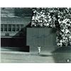 Image 1 : Willie Mays signed photo