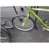 Image 4 : GREEN LAREDO BIKE