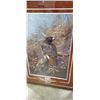 Image 2 : FRAMED RED TAILED HAWK PRINT