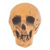 Image 1 : A Large Randotti Souvenir Skull.