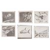 Image 7 : A Collection of Horizons Xeroxed Storyboards.