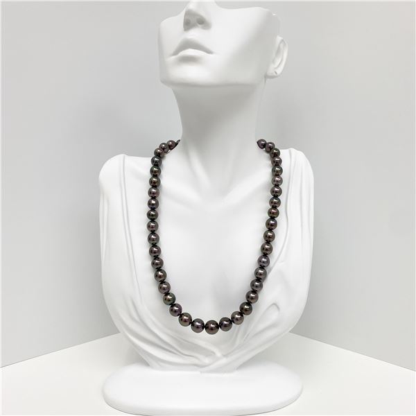 8-10mm Tahitian Aubergine Near-Round Pearl Necklace with Gold Clasp