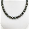 Image 3 : 8-10mm Tahitian Dark Multicolor Round Pearl Necklace with Gold Clasp