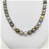 Image 3 : 8-10mm Tahitian Silver Multicolor Round/Near-Round Pearl Necklace with Gold Clasp