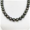 Image 3 : 11-12mm Tahitian Dark Green Round/Near-Round Pearl Necklace with Gold Clasp