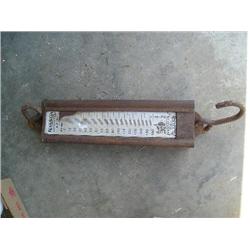 Hanson Cotton Scale
