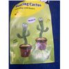 Image 4 : Dancing Cactus Toy