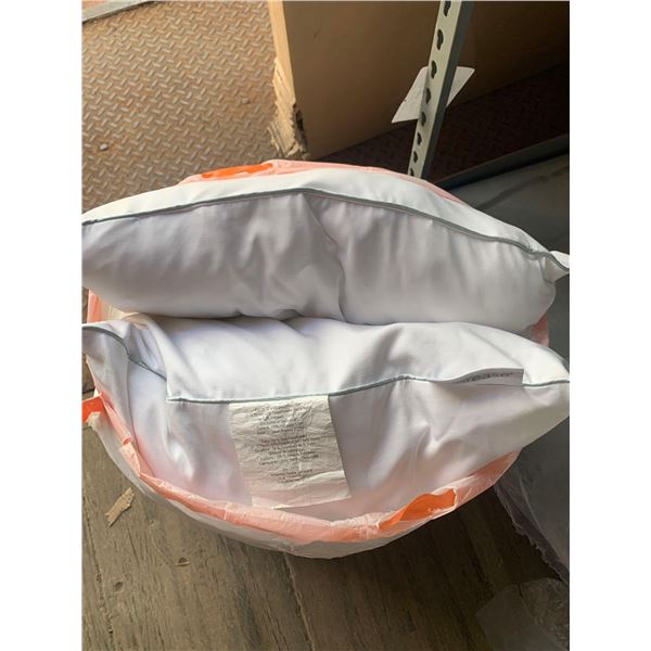 Pair of Queen Size Allerease Pillows