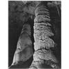 Image 1 : Adams - Carlsbad Caverns National Park New Mexico 3