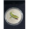 Image 2 : Royal Canadian Mint 2014 25 Cent Coloured Coin Tiktaalik