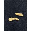 Image 2 : 1.19 Grams Gold Nugget From Brown's Creek, Dawson City, Yukon