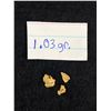 Image 1 : 1.03 Grams Gold Nugget From Brown's Creek, Dawson City, Yukon