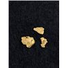 Image 2 : 1.03 Grams Gold Nugget From Brown's Creek, Dawson City, Yukon
