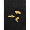 Image 2 : 1.18 Grams Gold Nugget From Brown's Creek, Dawson City, Yukon