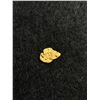 Image 2 : .83 Grams Gold Nugget From Brown's Creek, Dawson City, Yukon