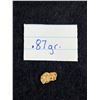 Image 1 : .87 Grams Gold Nugget From Brown's Creek, Dawson City, Yukon