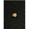 Image 2 : .55 Grams Gold Nugget From Brown's Creek, Dawson City, Yukon
