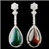 Image 1 : 14K Gold 5.39ct Opal & 1.09ctw Diamond Earrings
