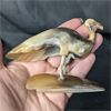 Image 2 : Vintage Carved Horn Bird Statue 