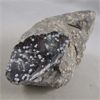 Image 1 : Snowflake Obsidian Crystal Specimen