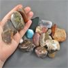 Image 2 : Lot of Mixed Polished Stones - 355 Grams