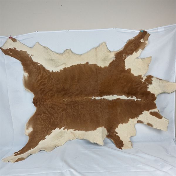 Vintage Tanned Calf Hide - Very Good Condition - Stamped March 18 1966