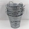 Image 1 : Set of 10 Metal Tin Planters