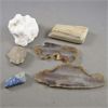 Image 4 : Lot of 14 Various Crystals, Fossils and  Minerals