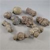 Image 2 : Lot of 17 Various Crystals, Fossils and  Minerals