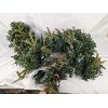 Image 14 : Large Lot of Various Christmas Decorations Including New in Box Light Up Garland