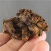 Image 1 : Raw Coprolite (Dino Poo) - Madagascar