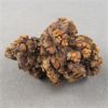 Image 2 : Raw Coprolite (Dino Poo) - Madagascar