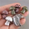 Image 2 : Set of 5 Gemstone Mushrooms and 1 Crescent Moon