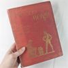 Image 2 : Lot of Vintage " The Scouts Annual" & Similar Books