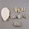 Image 4 : Ulexite Crystal and Various Fossils