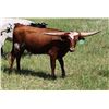 Image 1 : TCC Darling Delite