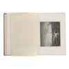 Image 10 : 1863 Atala by Chateaubriand - Gustace Dore Artwork