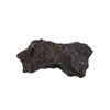 Image 1 : Large Campo Del Cielo Meteorite From Argentina