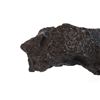Image 8 : Large Campo Del Cielo Meteorite From Argentina