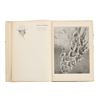 Image 8 : Rare "Done in the Open" Frederic Remington 1902